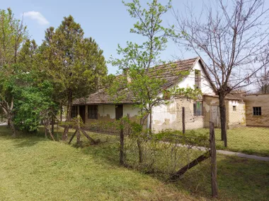 Muškatla