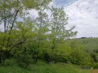 Bukovac, Gradske lokacije, Novi Sad | 4zida.rs