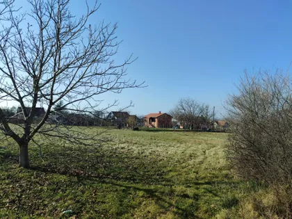 Ostružnica | 4zida.rs