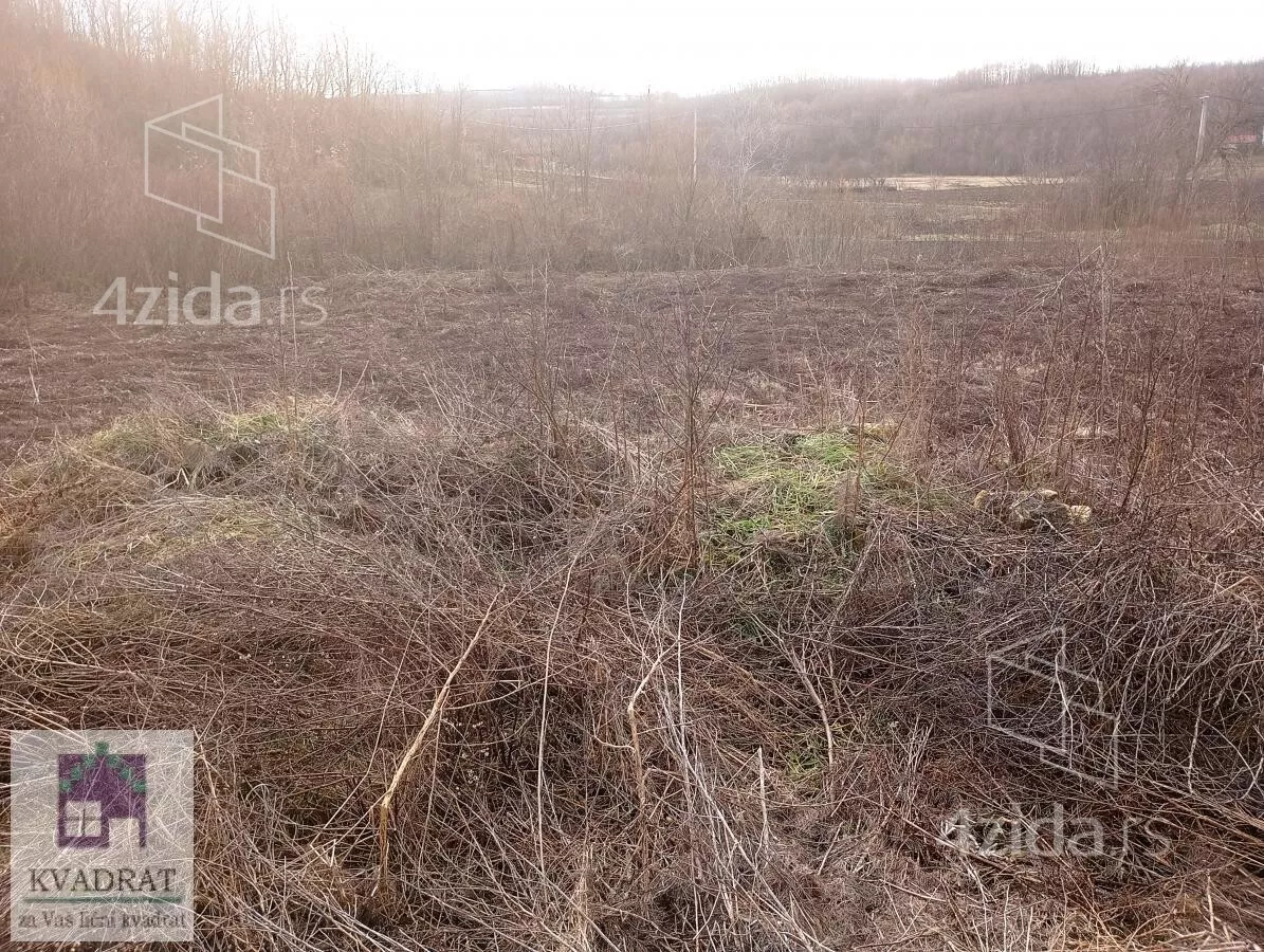 Plac | 4zida