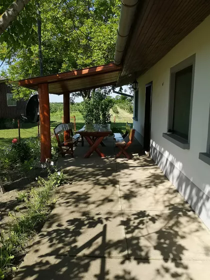 Muškatla | 4zida.rs