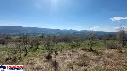 Krivovirska | 4zida.rs