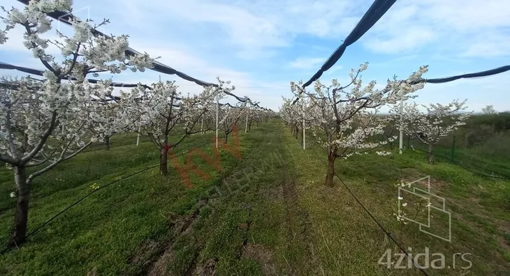 Poljoprivredno zemljište | 4zida