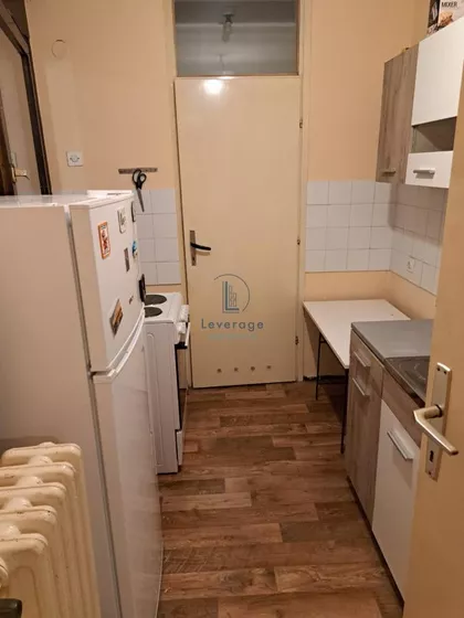 Dr Ivana Ribara | 4zida.rs