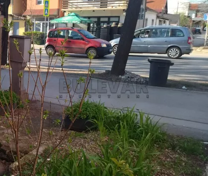 Knjaževačka | 4zida.rs