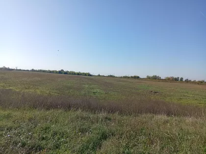 Ovča | 4zida.rs