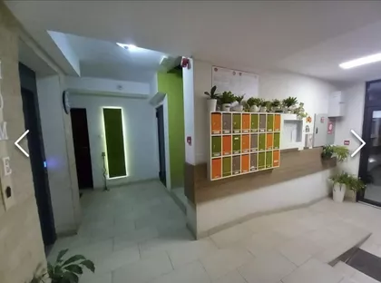 Kopernikova | 4zida.rs