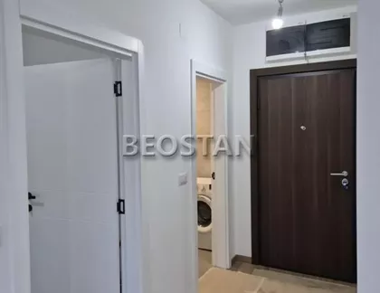 Cara Dusana | 4zida.rs