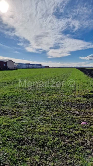 Pukovnika Milenka Pavlovića