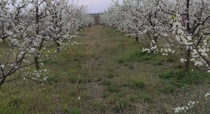 Poljoprivredno zemljište | 4zida