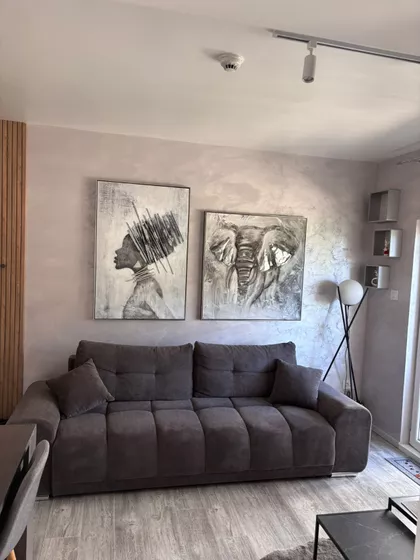 Stefana Prvovenčanog 54 | 4zida.rs