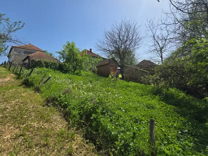 Darosava | 4zida.rs