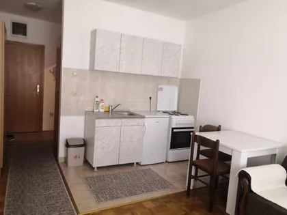 Dr Svetislava Kasapinovića | 4zida.rs