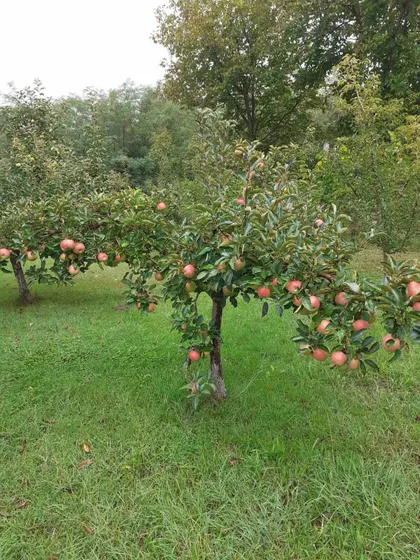 Kajtasovo | 4zida.rs