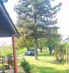 Pančevo, Gradske lokacije, Misa | 4zida.rs | 4zida.rs