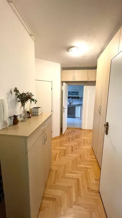 Nede Spasojevic 13 | 4zida.rs