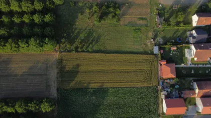 Nebojše Popovića | 4zida.rs