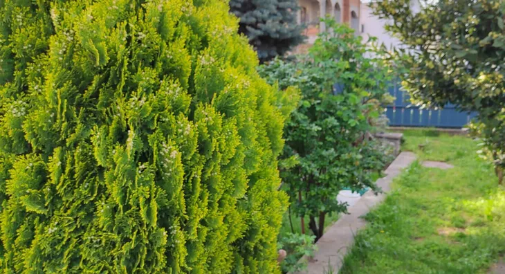 4-etažna kuća | 4zida