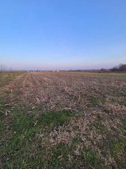 Loznica - Centar | 4zida.rs