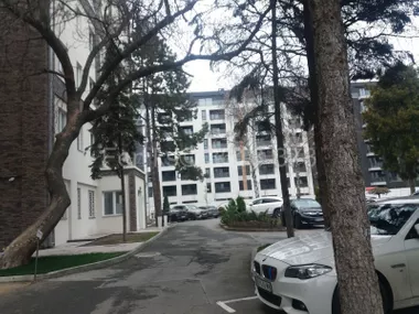 Bežanijska kosa