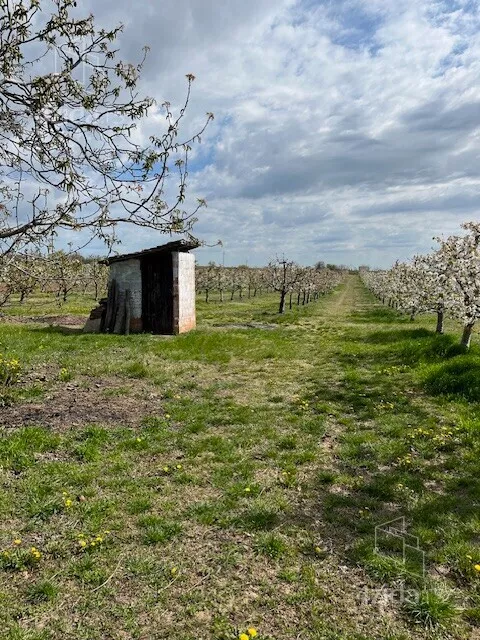 Poljoprivredno zemljište | 4zida