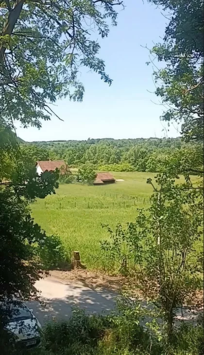 Dobrivoja Maksimovića | 4zida.rs