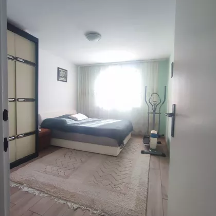 Josifa Šnersona | 4zida.rs