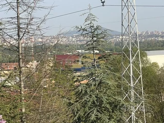 Plac | 4zida