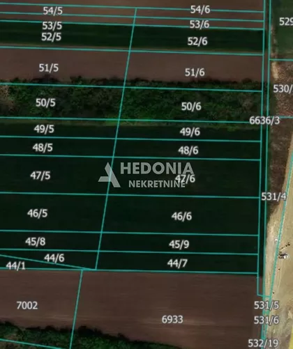 Blok 53 - Kvantaš | 4zida.rs