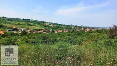 Umka