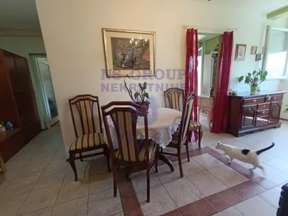 Nova Detelinara | 4zida.rs