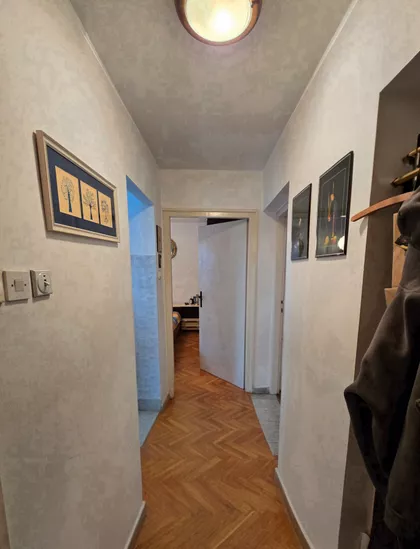 Blagoja Parovića | 4zida.rs