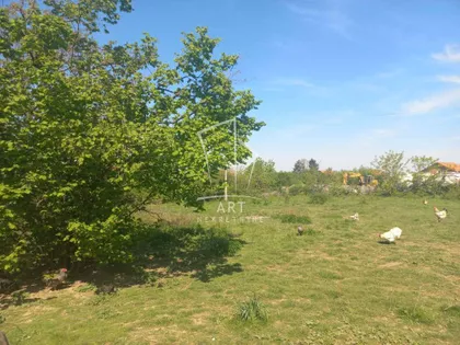 Đurđije Cvetić | 4zida.rs