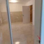 Novi Sad, Gradske lokacije, Detelinara | 4zida.rs | 4zida.rs