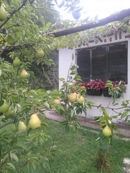 Kajtasovo | 4zida.rs