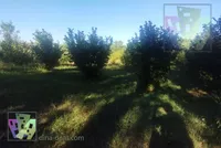Poljoprivredno zemljište | 4zida