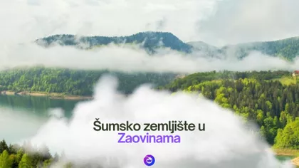 Zaovine | 4zida.rs