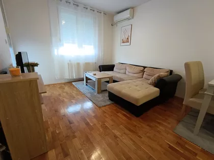 Dr Svetislava Kasapinovića | 4zida.rs