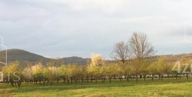 Poljoprivredno zemljište | 4zida