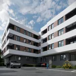 Novi Sad, Gradske lokacije, Telep | 4zida.rs | 4zida.rs