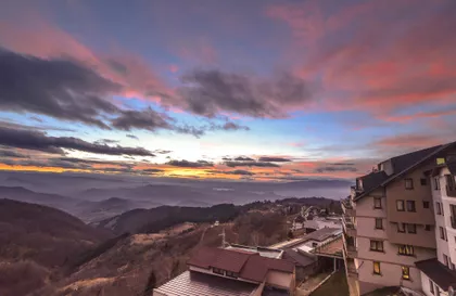 Pavla Vuisića | 4zida.rs