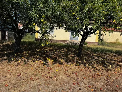 Đenerala Draže 19 | 4zida.rs