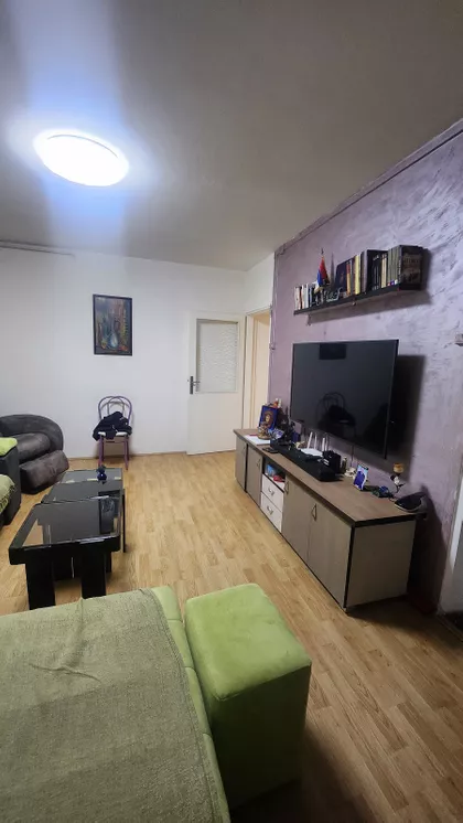 Ulofa Palmea bb | 4zida.rs