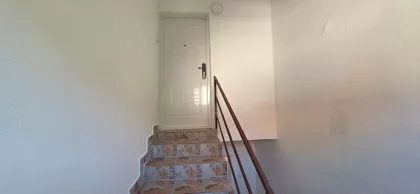 Peti Puk | 4zida.rs