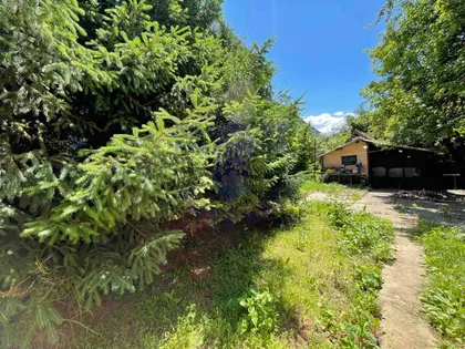 Novosadski Put | 4zida.rs