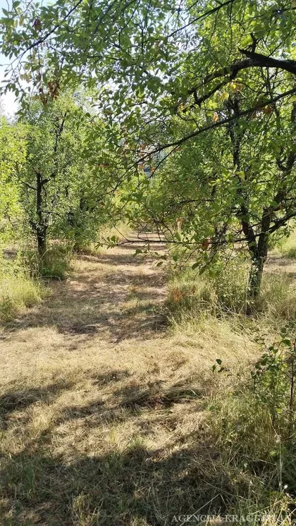 Gornja Sabanta | 4zida.rs