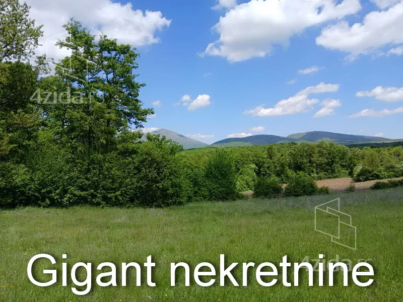 Plac | 4zida
