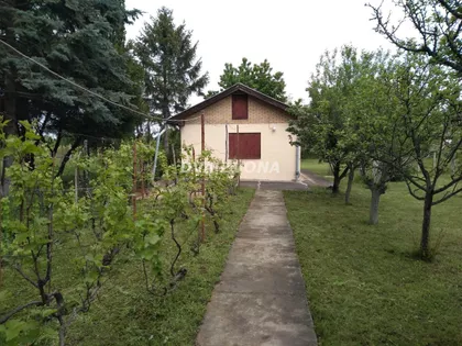 Čortanovci | 4zida.rs