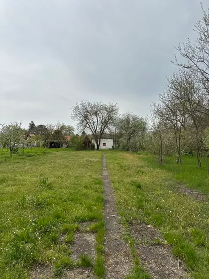 Beogradski Put 163 | 4zida.rs