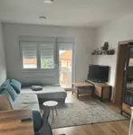 Novi Sad, Gradske lokacije, Veternik | 4zida.rs | 4zida.rs